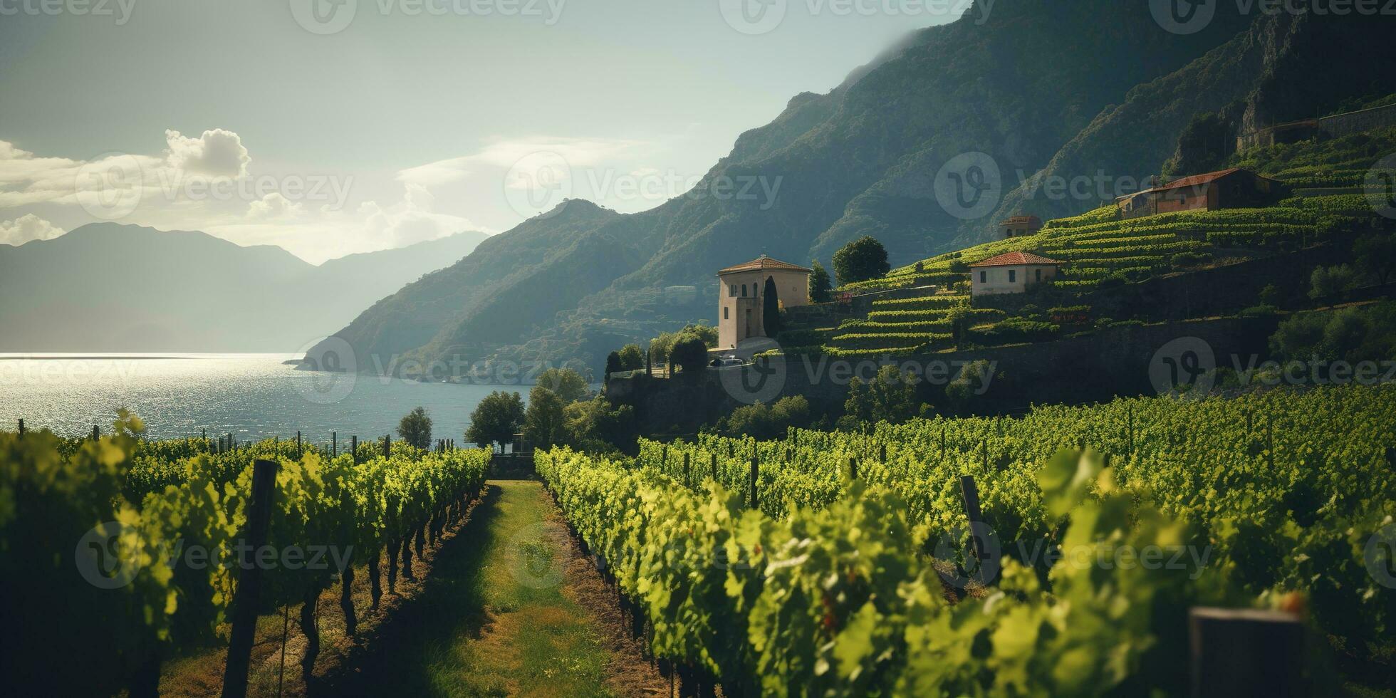 generativo ai, hermosa italiano viñedo, verde paisaje. filas de vides en puesta de sol foto