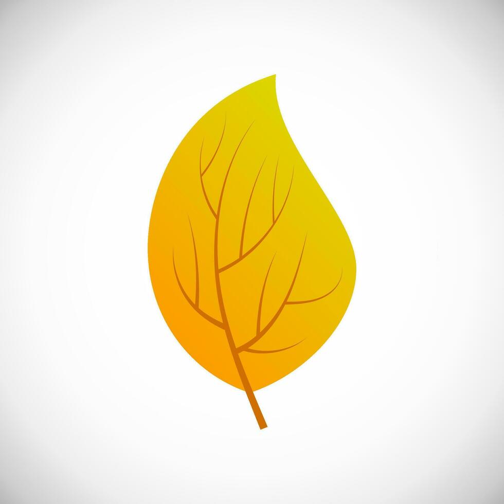 Lilac yellow leaf. Autumn leaf of a tree on a white background. Vector illustration