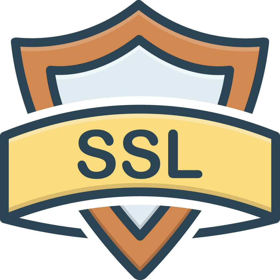 color icon for ssl vector