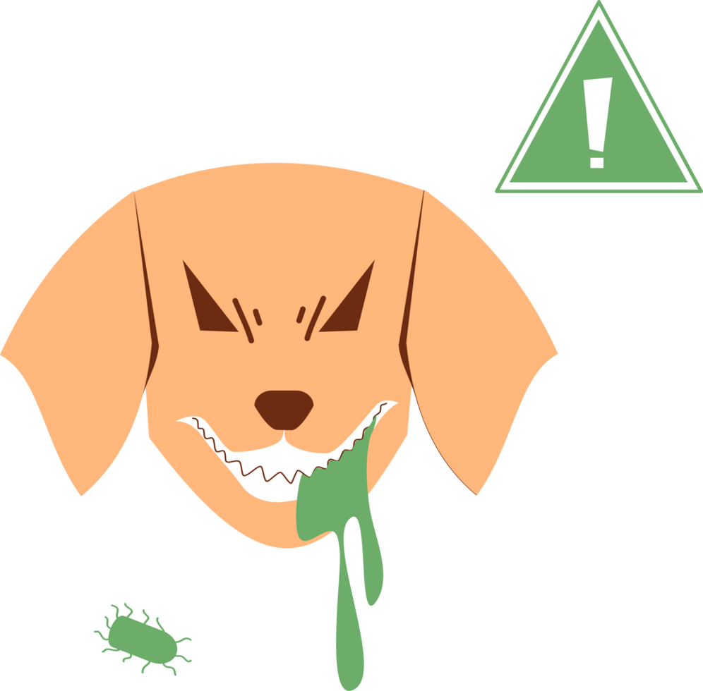 Rabies dog Clipart 29091495 PNG