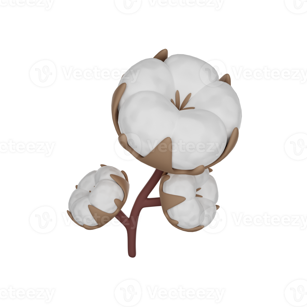 Branch of cotton. 3D render icon. png