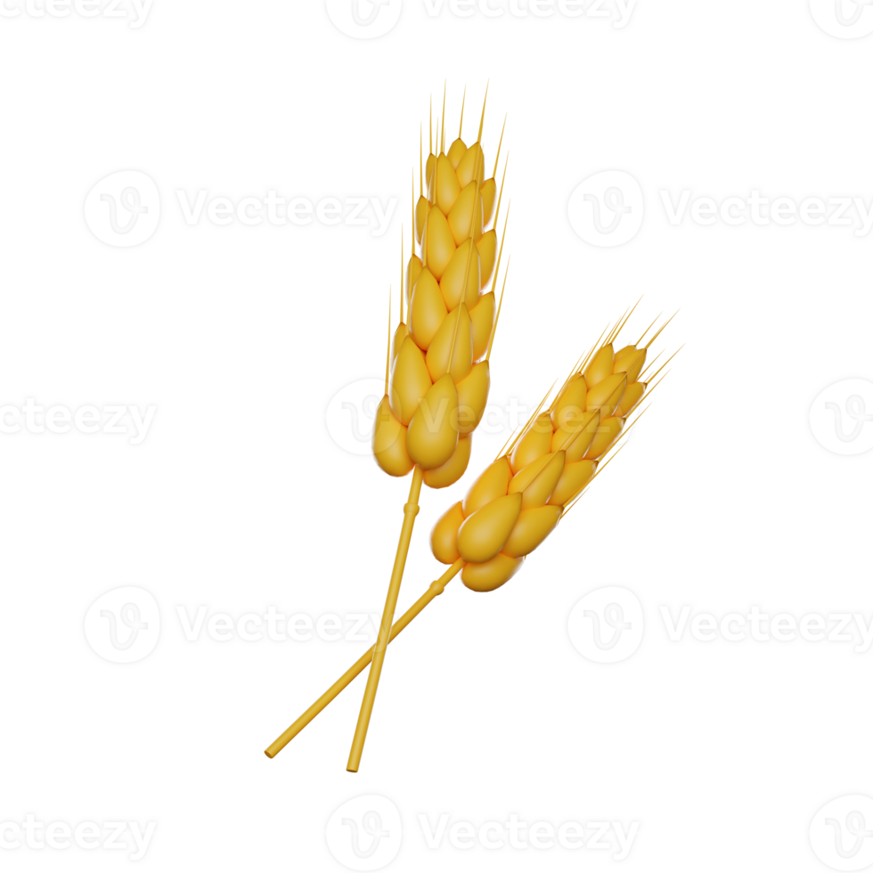 Two ears of wheat. 3D render icon png
