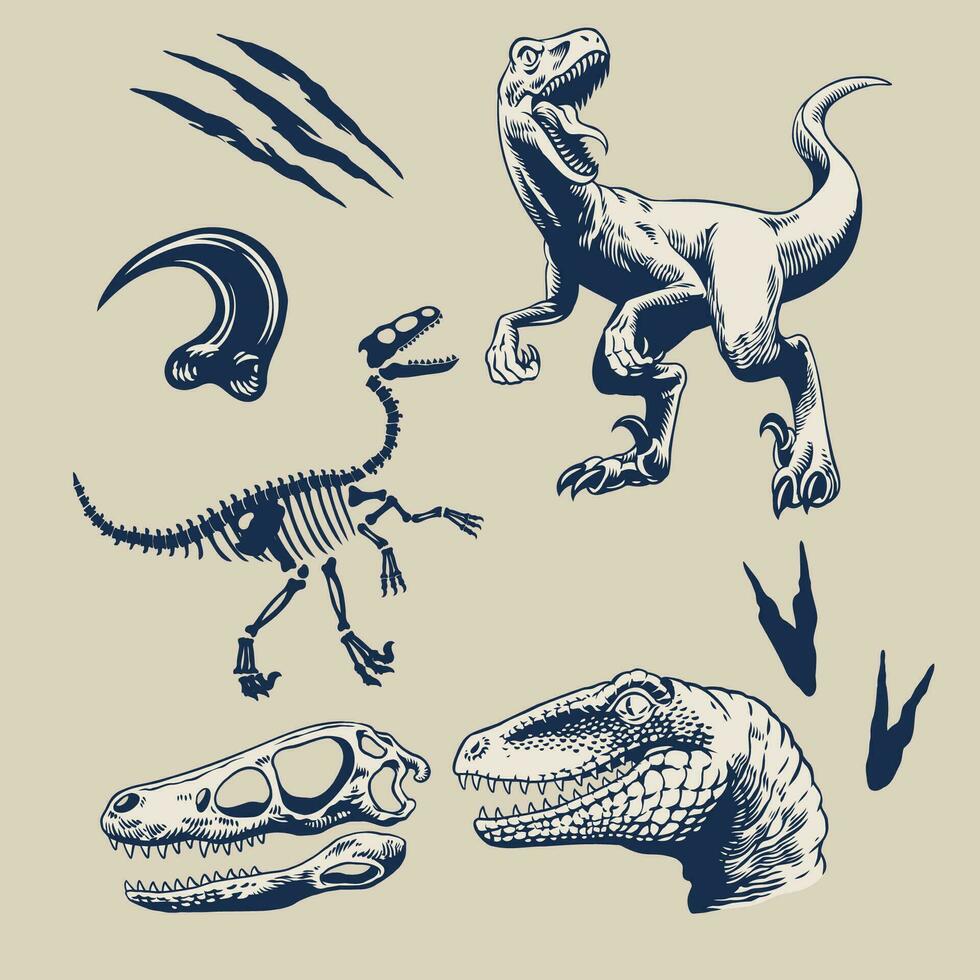 Graphic Set of Raptors Isolated Vector Illustration