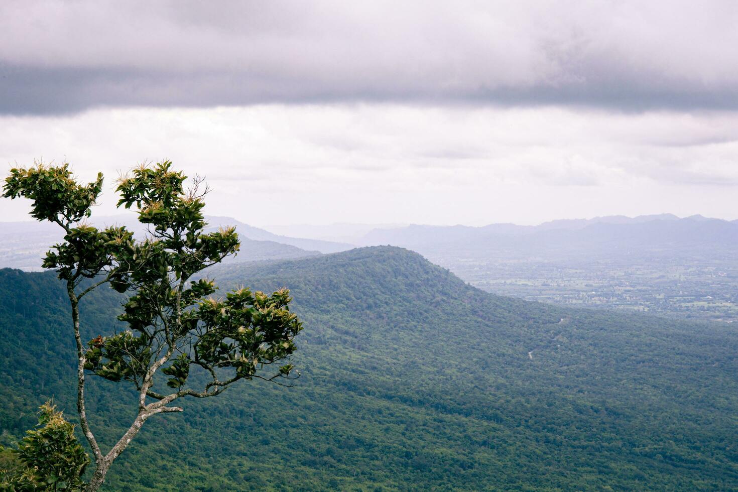 Big green mountains and lots of trees in the mountains. clouds floating on the mountain photo