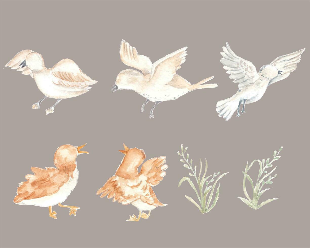 Flying Bird and Baby Goose Watercolor vector