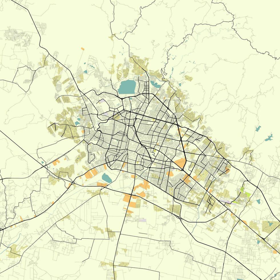 Map of Leon Guanajuato Mexico vector