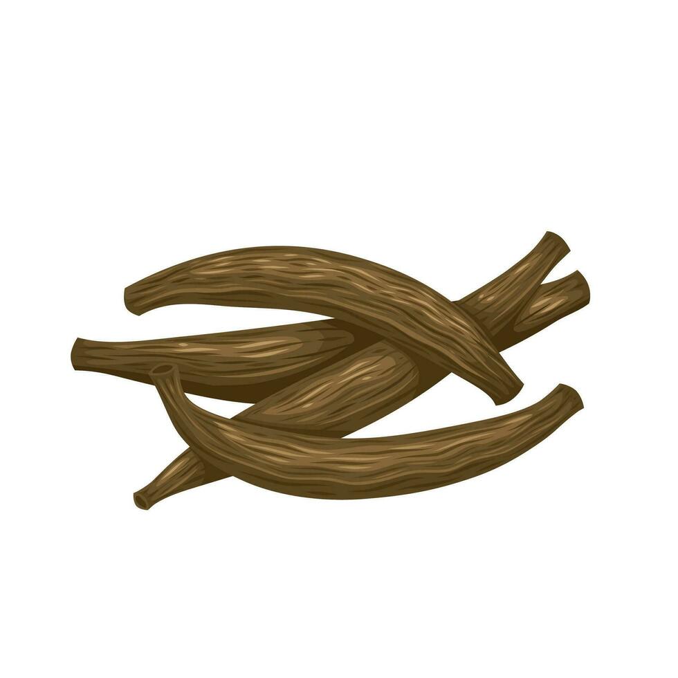 Vector illustration, Kapok buds, also known as marathi moggu, isolated on white background.