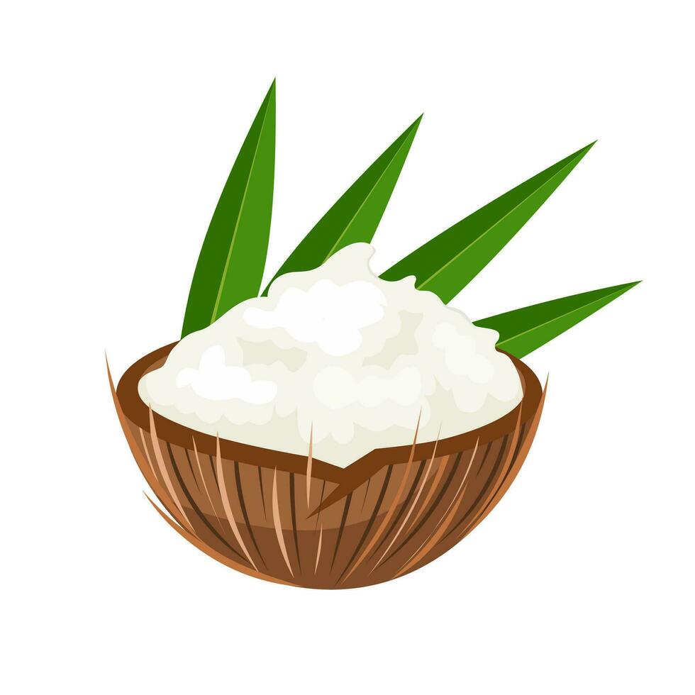 Vector illustration, coconut butter in coconut shell, isolated on white background.