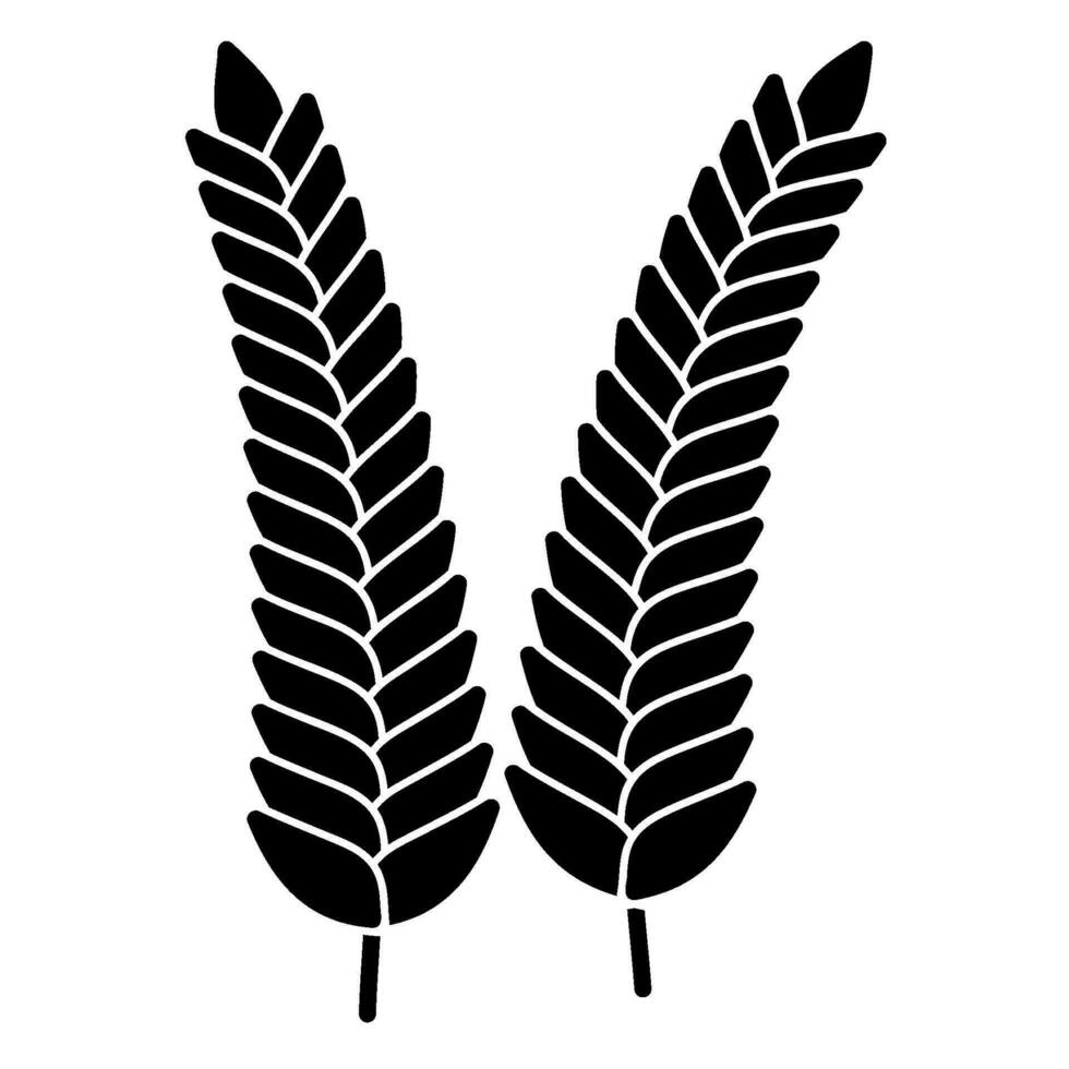 Wheat stalks icon vector