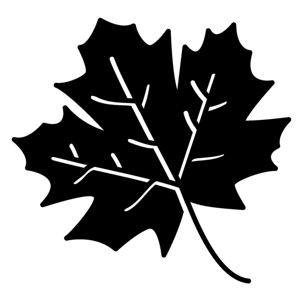 Maple leaf icon vector