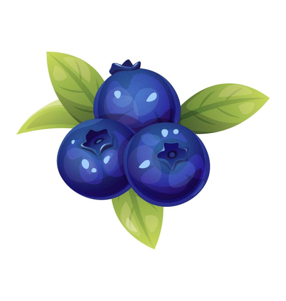 Blueberries on a white isolated background. Branch of forest blueberry in cartoon style. Berries and leaves for decor, stickers, prints, badges. vector