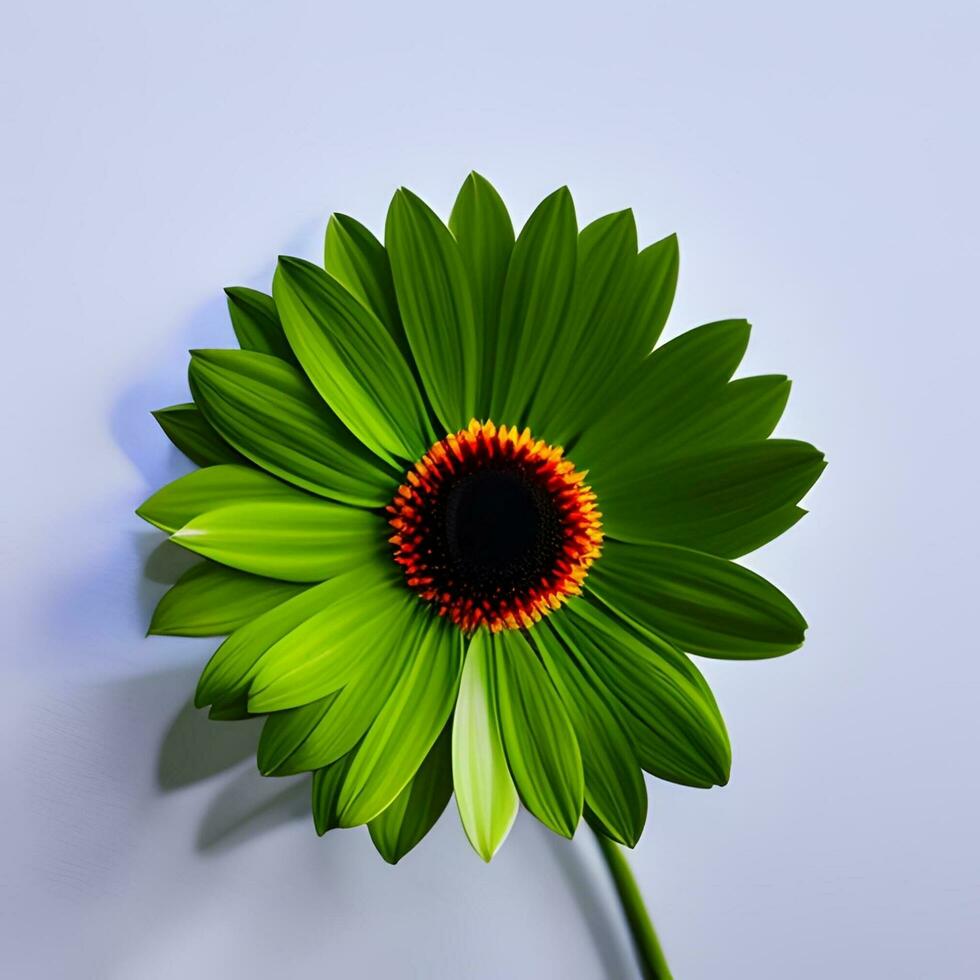 beautiful multicolored flower close-up photography with creative abstract background, generative ai photo