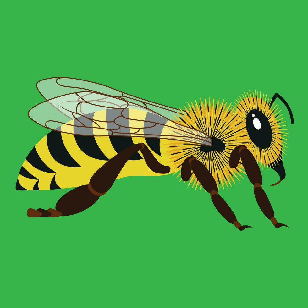 Bee flat illustration vector