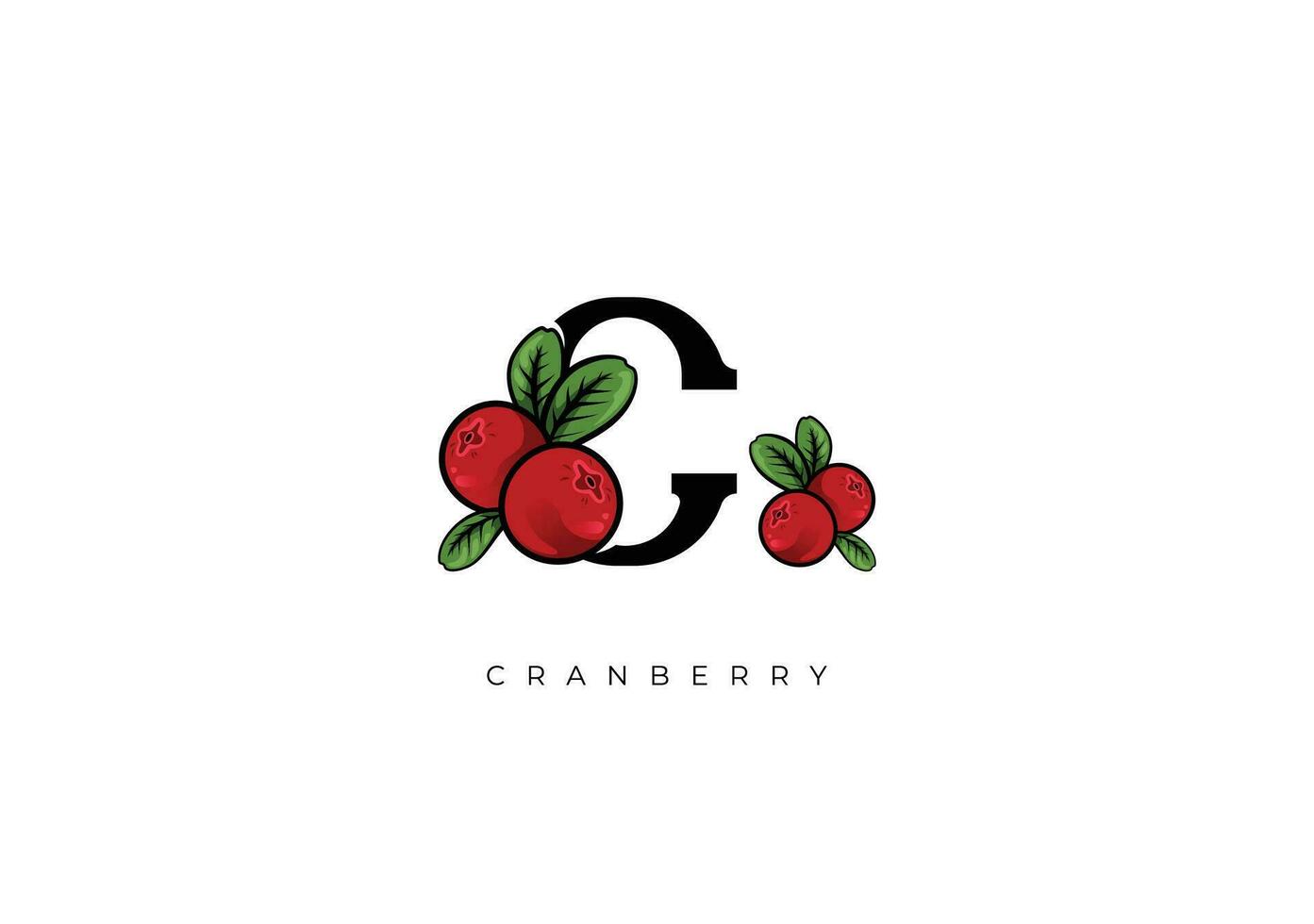 FRUIT VECTOR - CRANBERRY