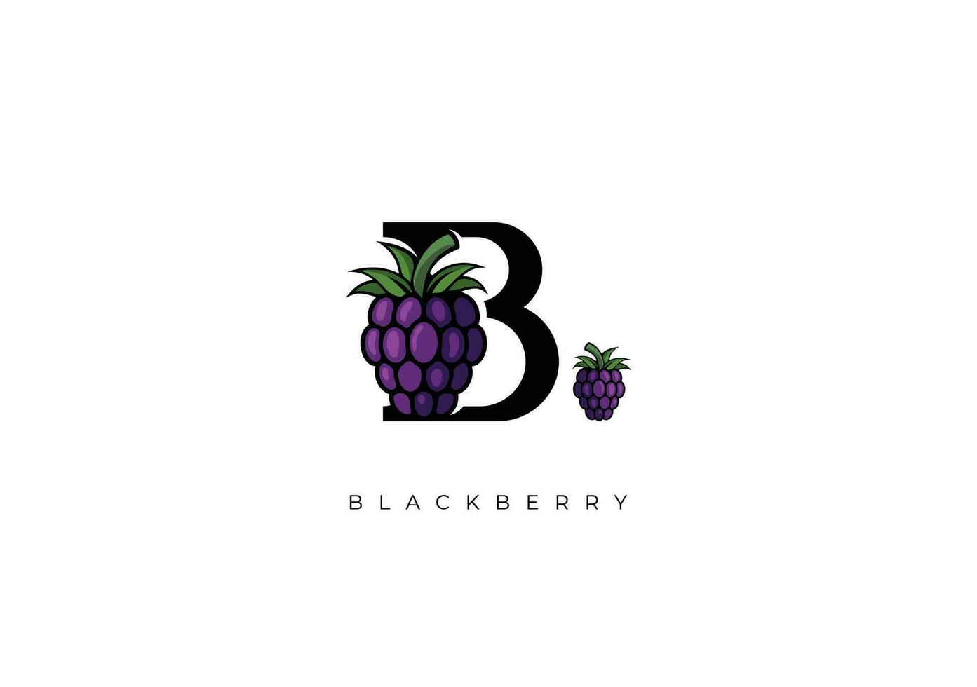 FRUIT VECTOR - BLACKBERRY