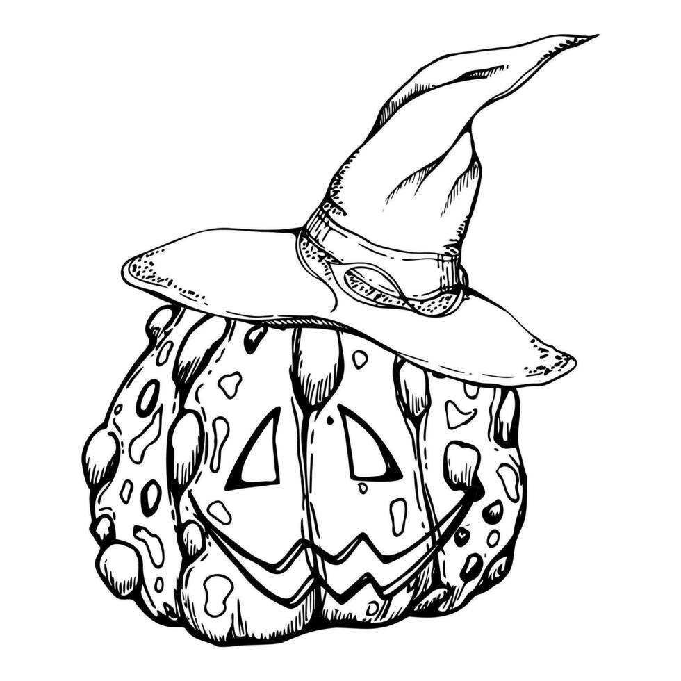 Hand drawn ink vector witch pumpkins in pointy hats jack-o-lantern. Sketch illustration art for Halloween, party, witchcraft. Isolated object, outline. Design shops logo, print, website, card, costume