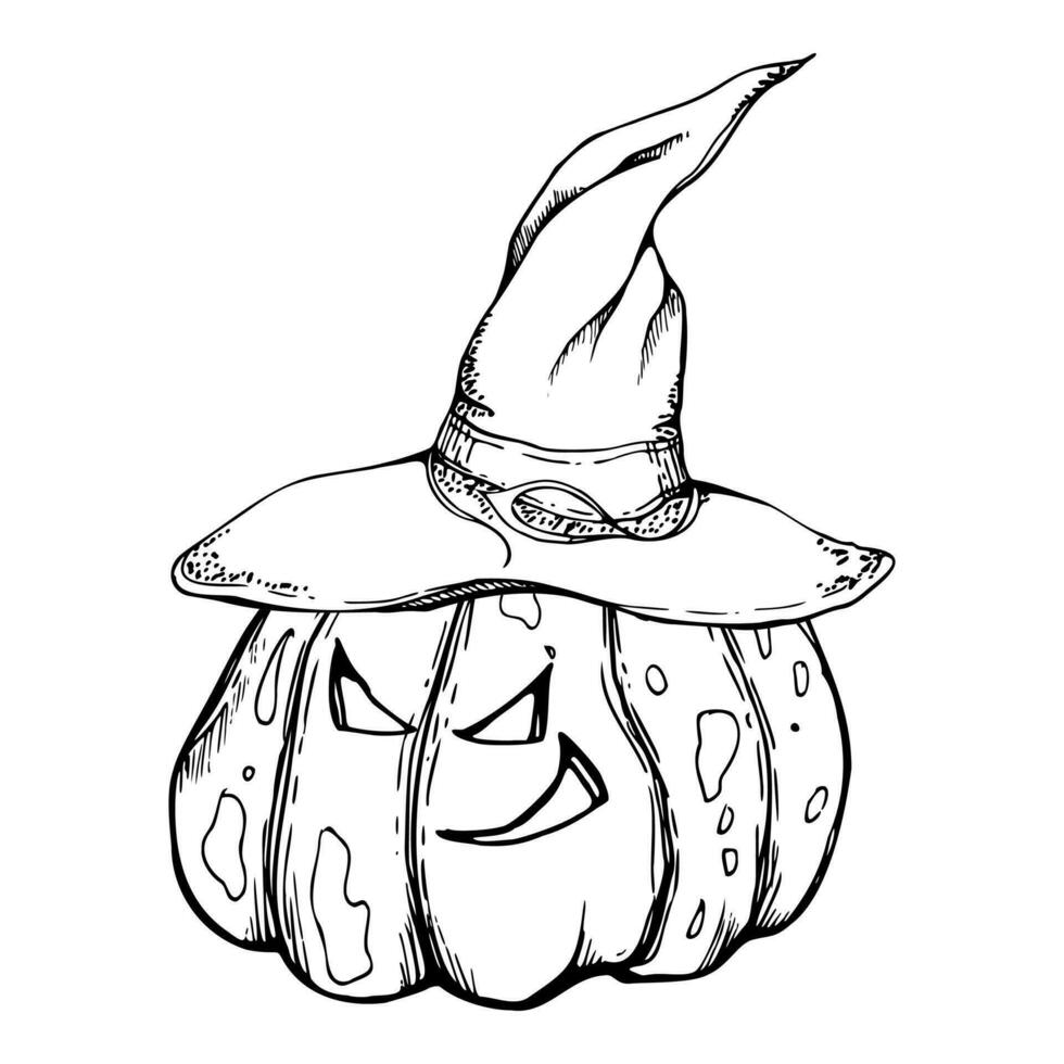 Hand drawn ink vector witch pumpkins in pointy hats jack-o-lantern. Sketch illustration art for Halloween, party, witchcraft. Isolated object, outline. Design shops logo, print, website, card, costume