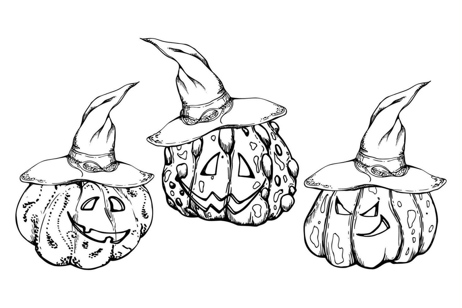 Hand drawn ink vector witch pumpkins in pointy hats jack-o-lantern. Sketch illustration art for Halloween, party, witchcraft. Isolated object, outline. Design shops logo, print, website, card, costume