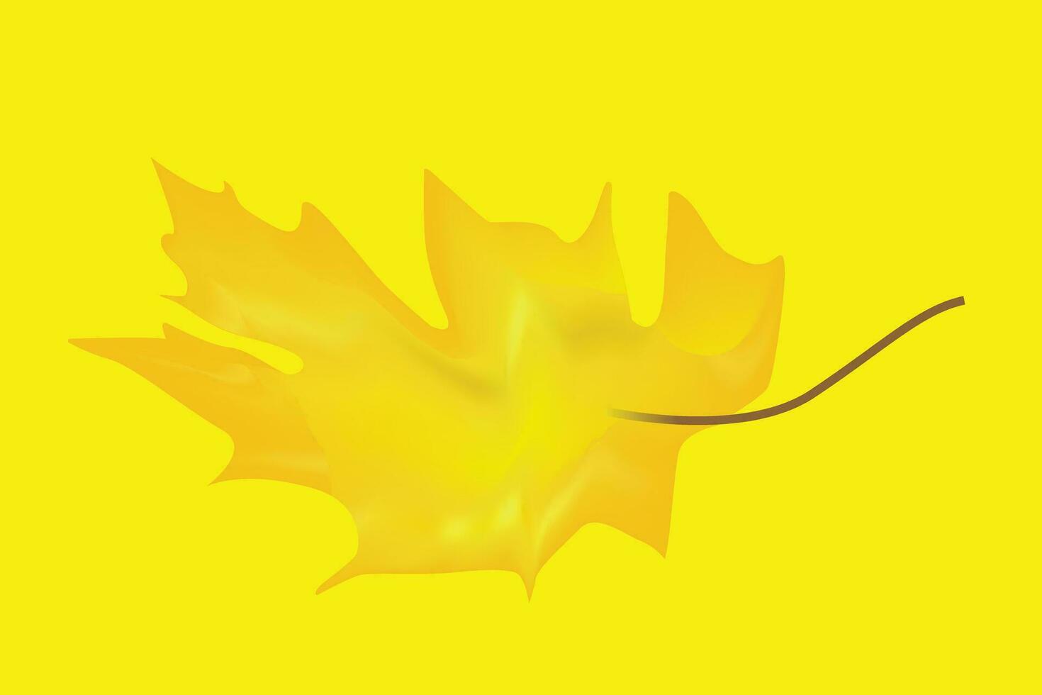 yellow color leaf and yellow color background . vector