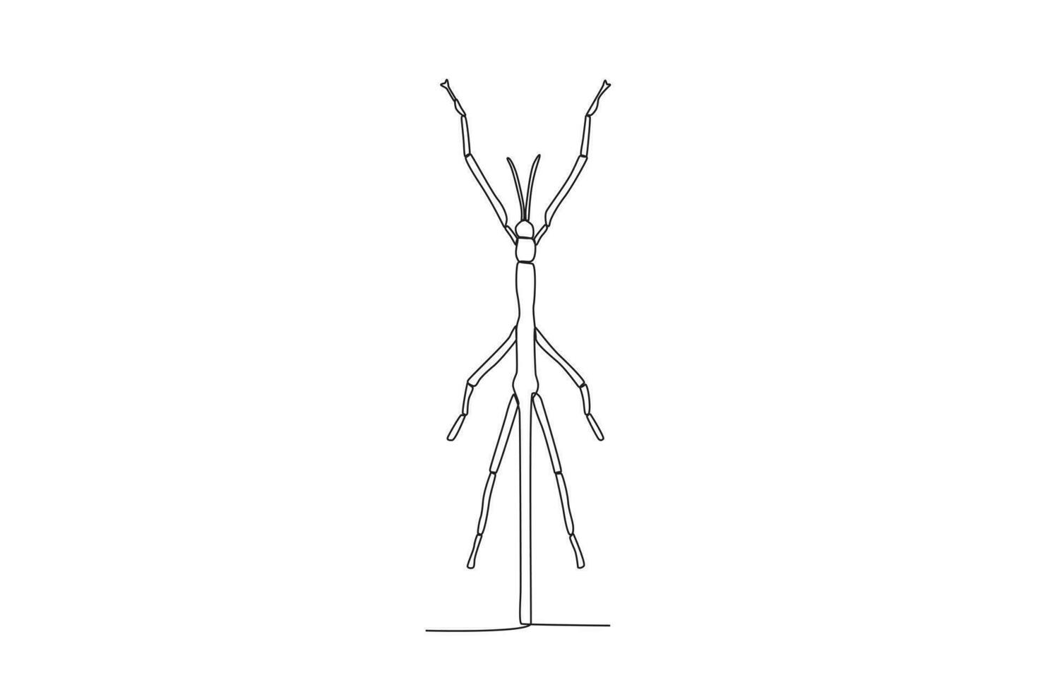 A single continuous line drawing of an stick bug for the farm's logo identity.  Single line drawing graphic design vector illustration