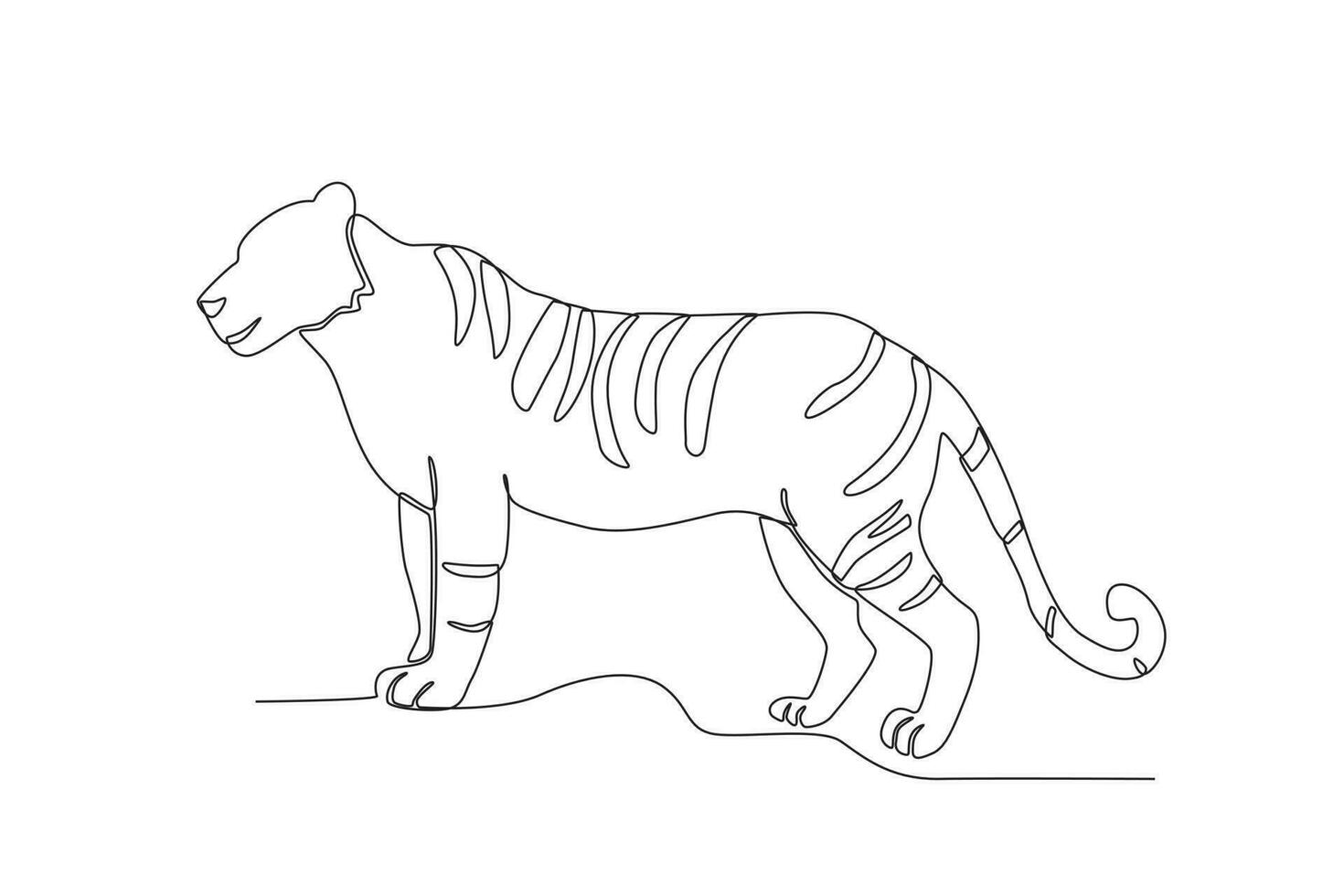 Single one line drawing of a tiger. Continuous line draw design graphic vector illustration.