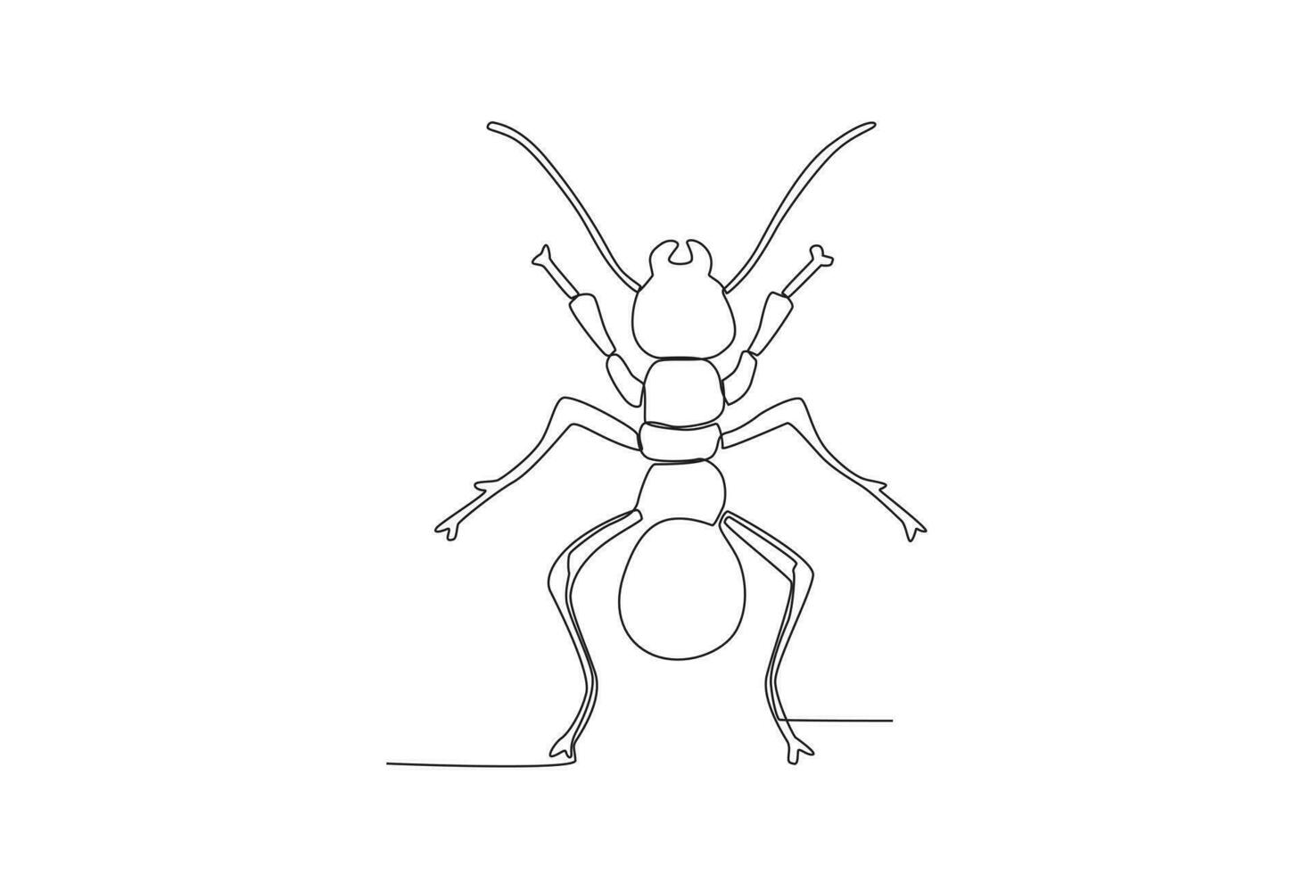 A single continuous line drawing of an ant for the farm's logo identity.  Single line drawing graphic design vector illustration