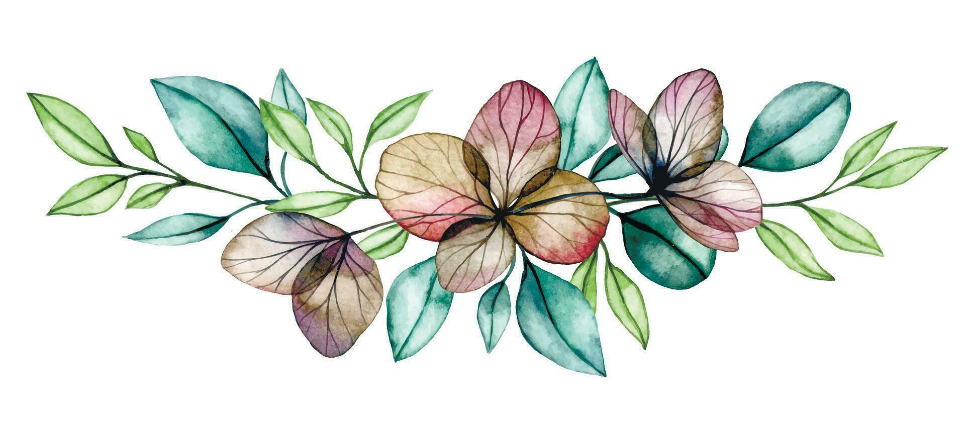watercolor drawing, bouquet, composition of transparent eucalyptus leaves and dried hydrangea flowers. vector