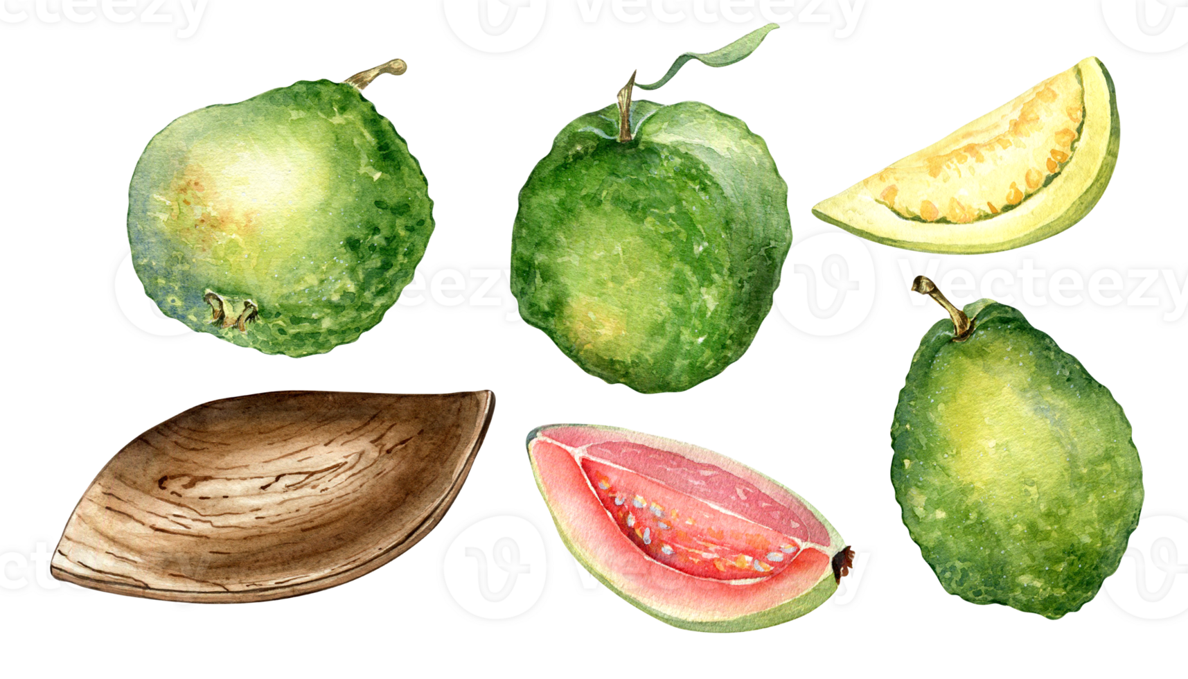 Set of whole guavas and slices, wooden plate watercolor illustration. Tropical, exotic fruit, pink guajava hand drawn. Design for wrapping, packaging, label, kitchen. png
