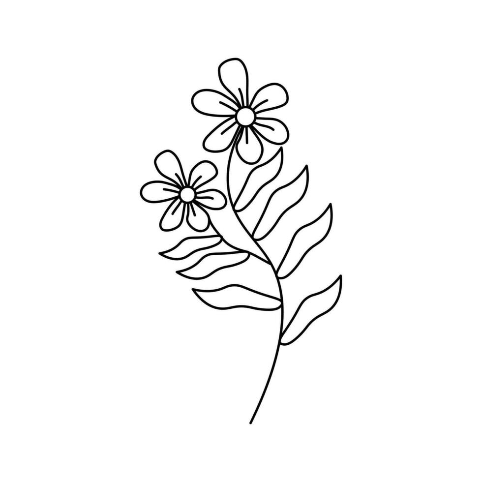 Flower Line Art Beauty Free Vector Element