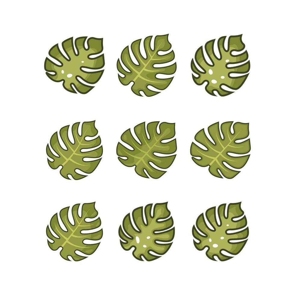 Monstera Leaf Illustration Set Element vector