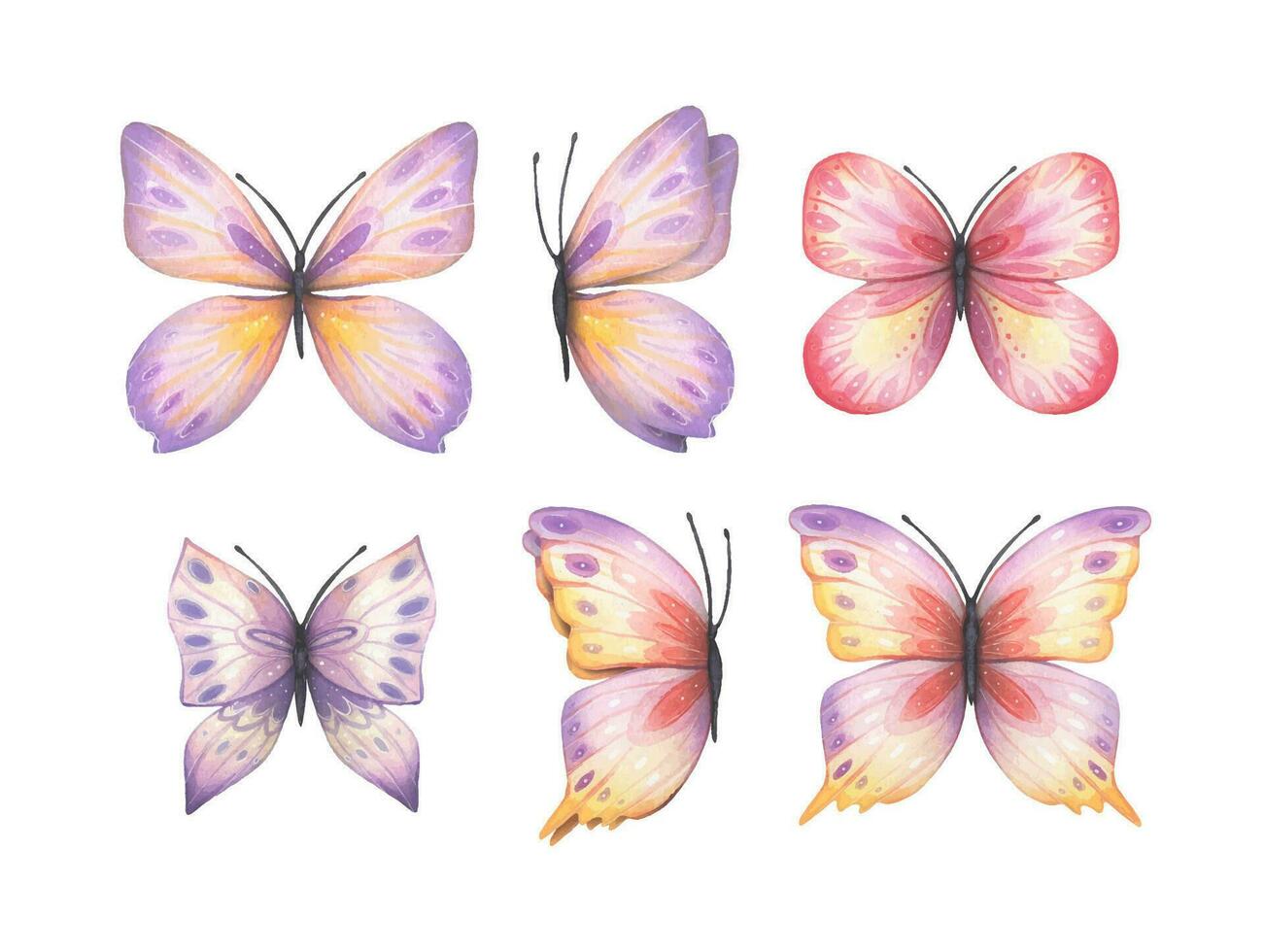 Set with abstract butterfly in purple, yellow, red tones, watercolor vector