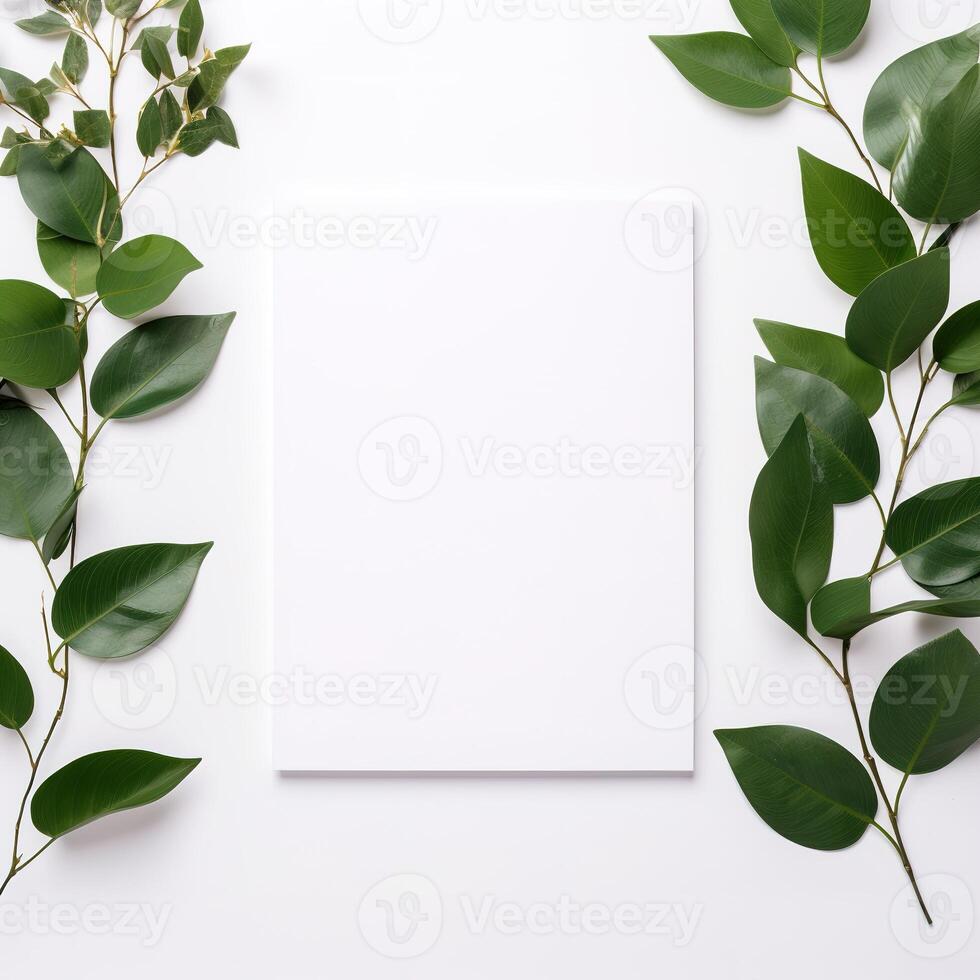a white paper surrounded by green leaves on a white background photo