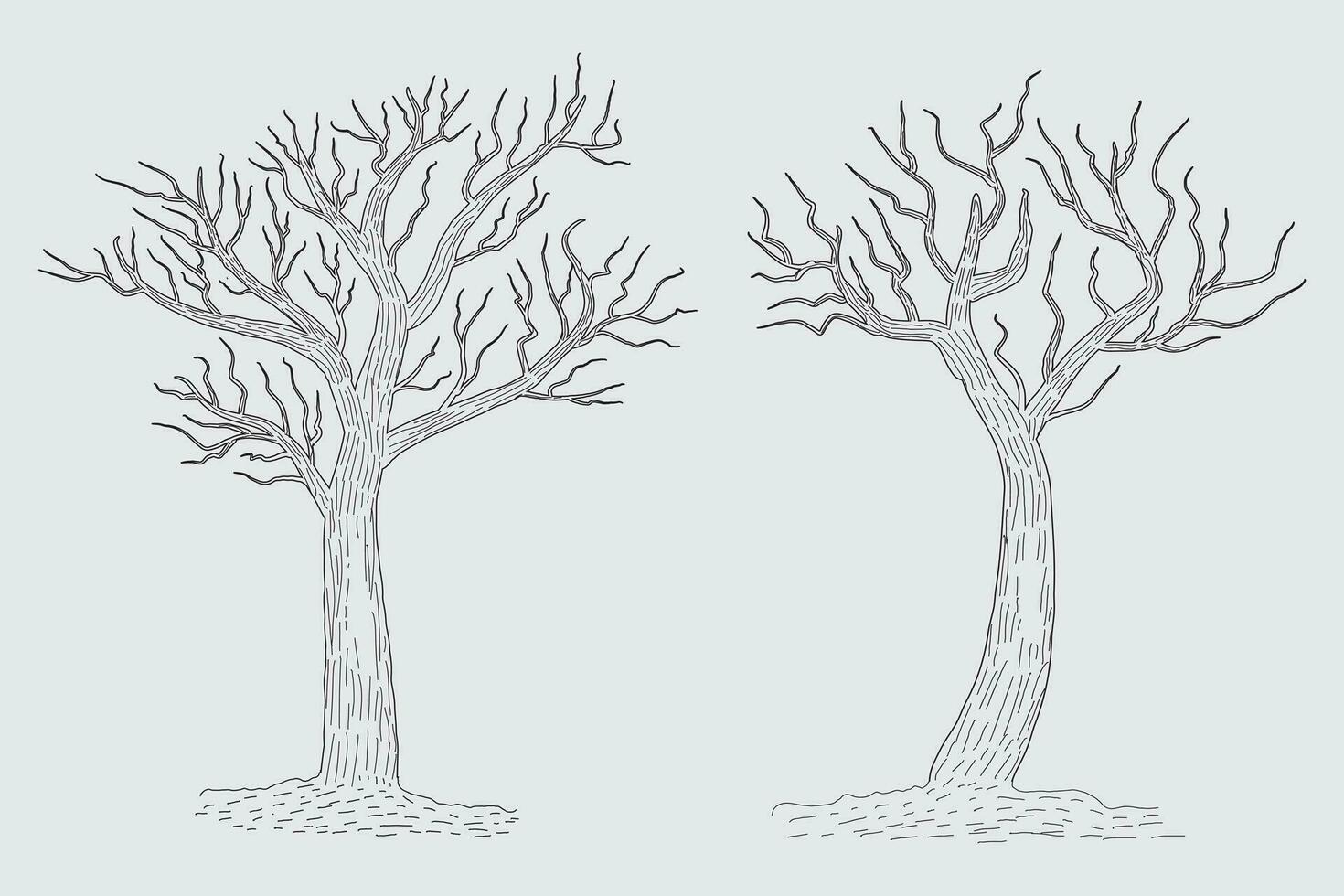 Hand drawn winter Bare Tree Sketch vector, bare Trees Leafless dead old dry No leaves pencil sketch illustration, Winter Naked Branch without leave Dead tree drawing Coloring Page nature forest icon vector