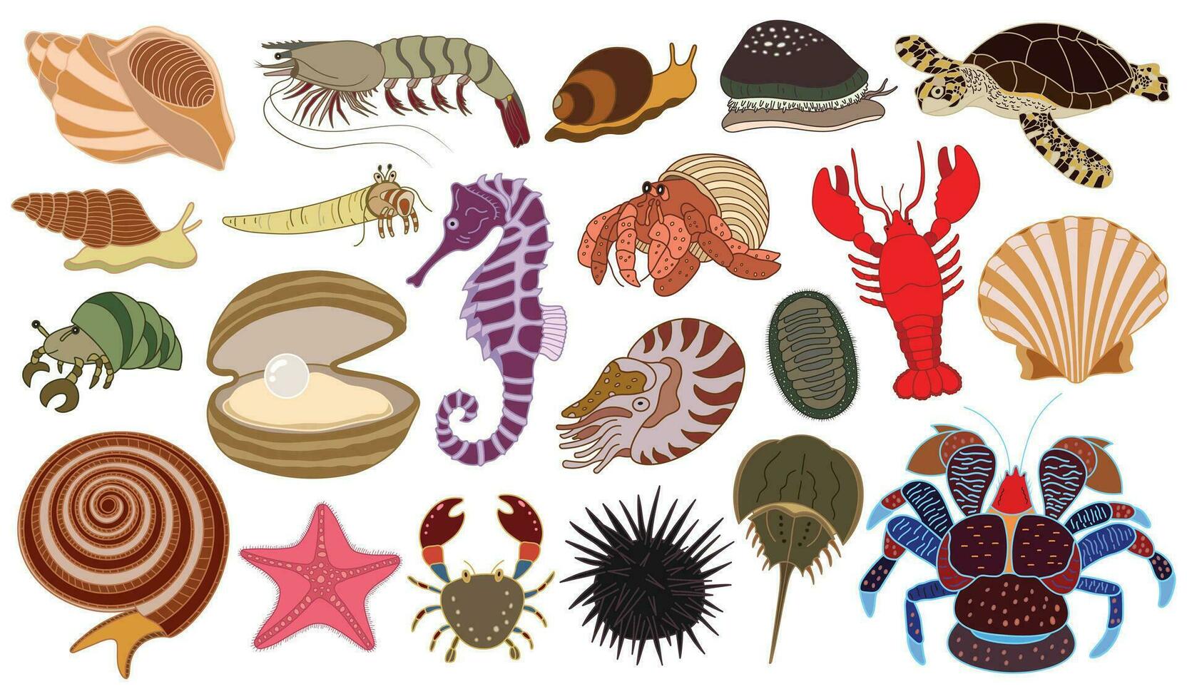 vector illustration set of hand drawn underwater creatures. hermit crab, lobster, seashells, snail, coconut crab, sea turtle, sea star, cowry, chiton, nautilus, horseshoe crab