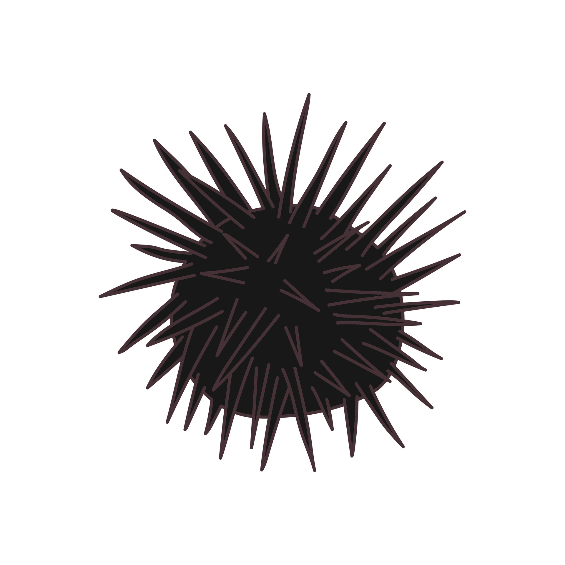 The Hidden Power Of Sea Urchins: Shaping Our Oceans' Clarity - 52gc72x