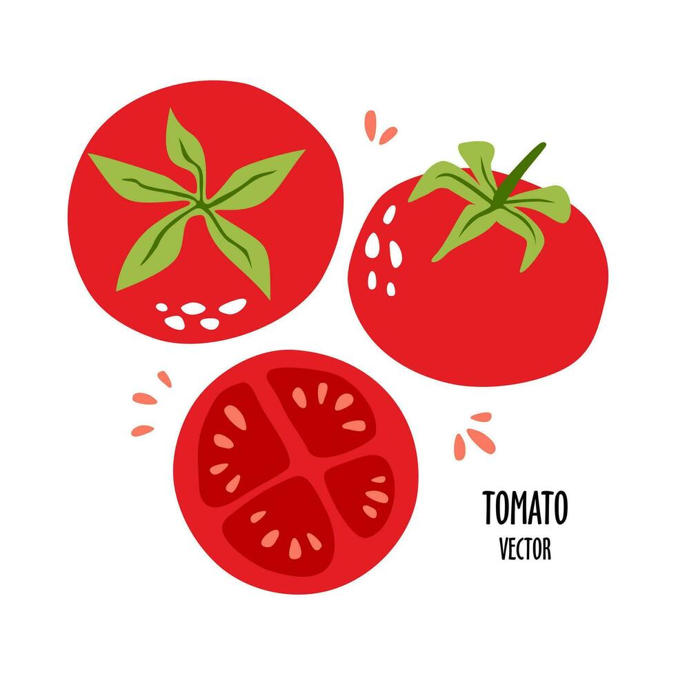Set of bright juicy tomatoes. vector