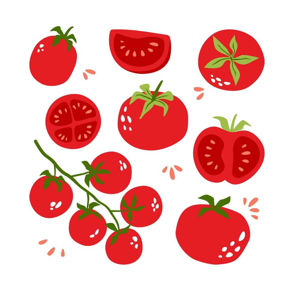 conjunto de brillante jugoso Tomates. lata ser usado para menú, embalaje, textiles. vector ilustración aislado en blanco antecedentes.