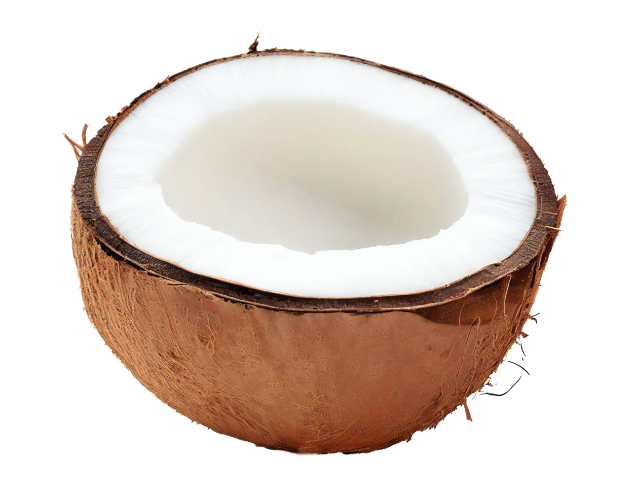 Half of ripe fresh coconut. AI Generated png