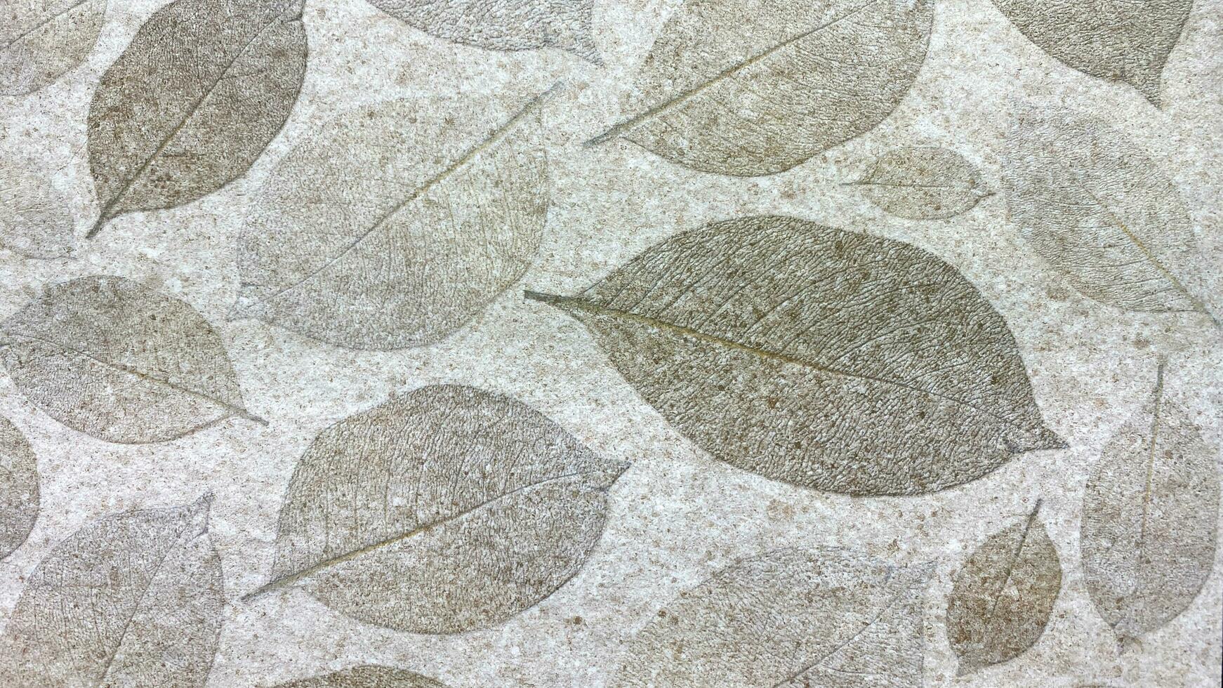 Stone texture background, beautiful texture for design. photo