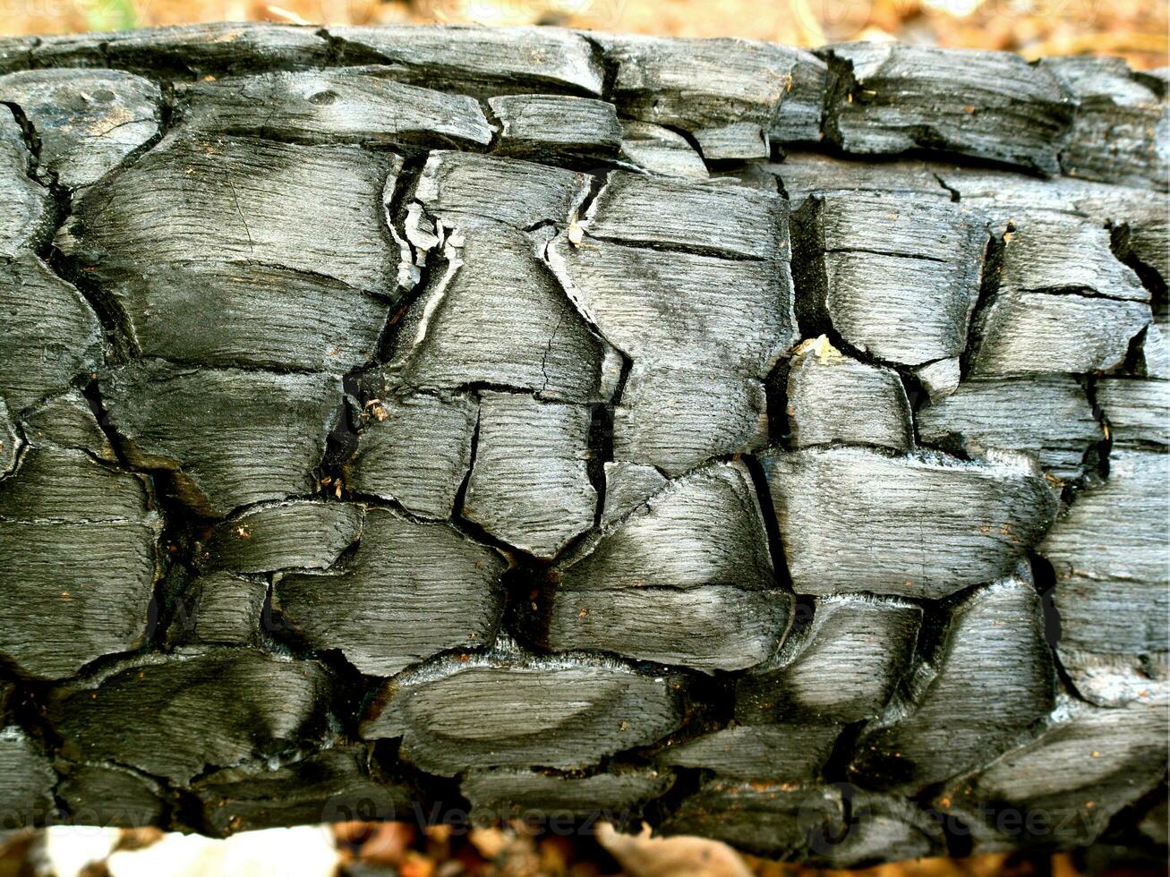 The logs were charred burned wood texture and details on the surface of the charcoal photo