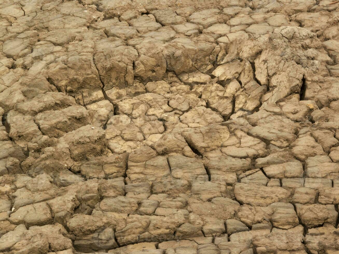 Arid soil texture, Dry cracked earth to mud, Brown dried ground photo