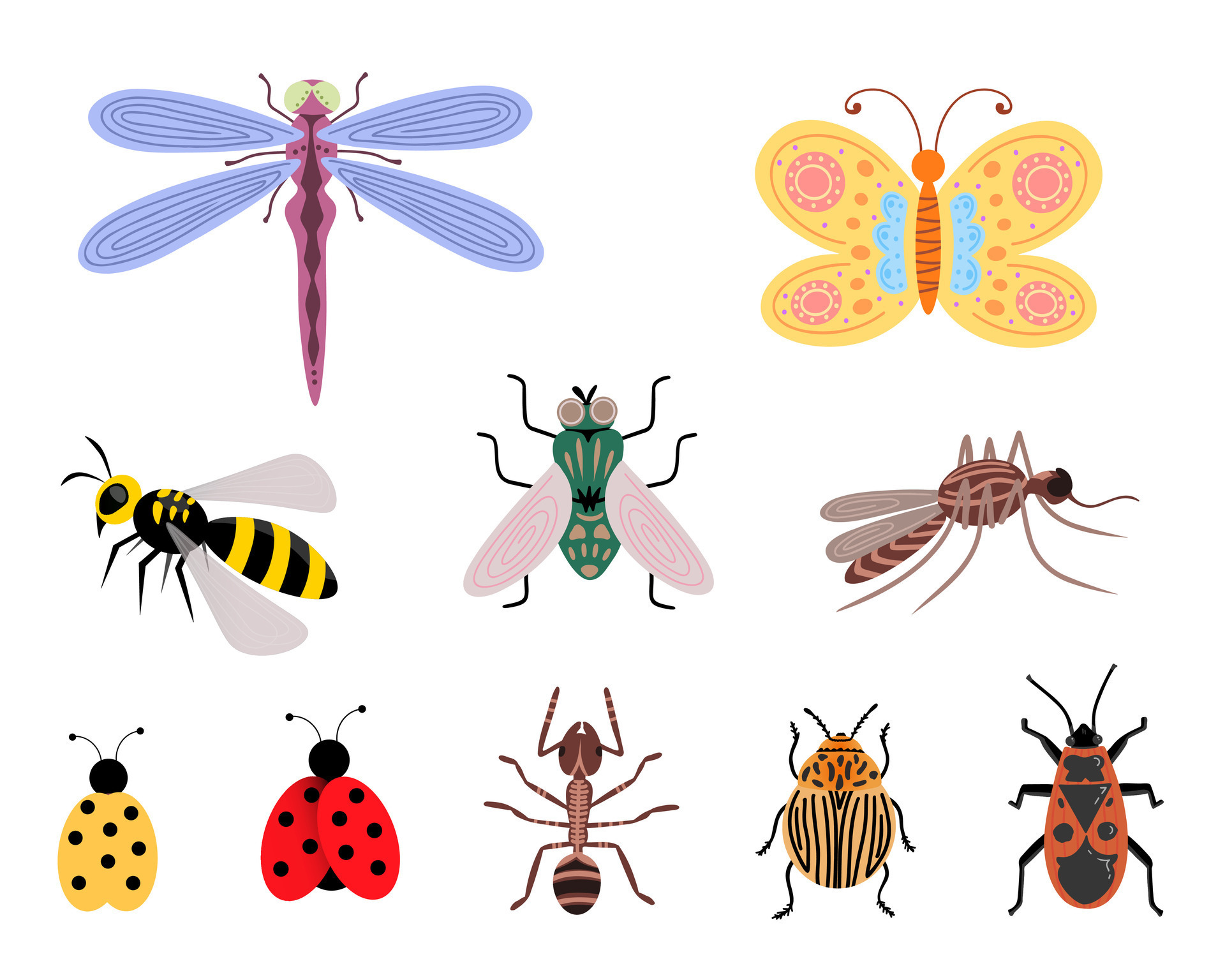Beetles, insects and bugs set. Illustration for printing, backgrounds ...