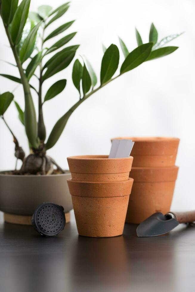 Small terracotta pots and tree planting equipment. photo