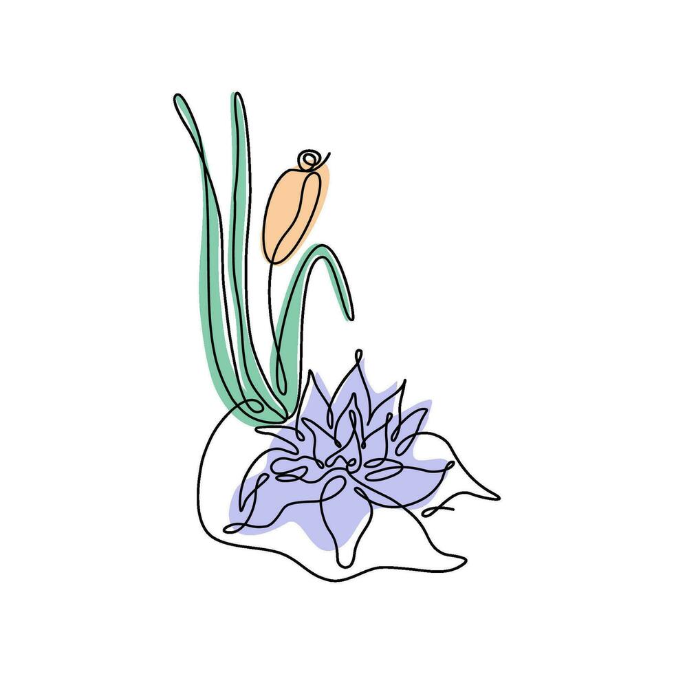 Line art style drawing water lily flower and reed. Simplified image of wetland plants. Outline vector illustration.