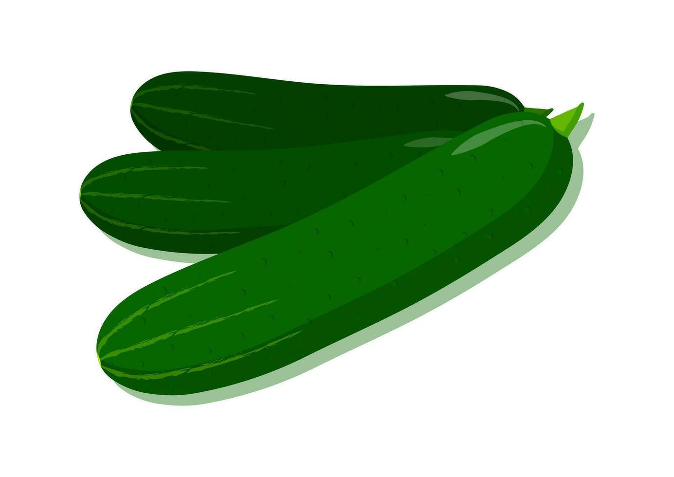 vector ilustración de Pepino Fresco vegetal. delicioso sano comida
