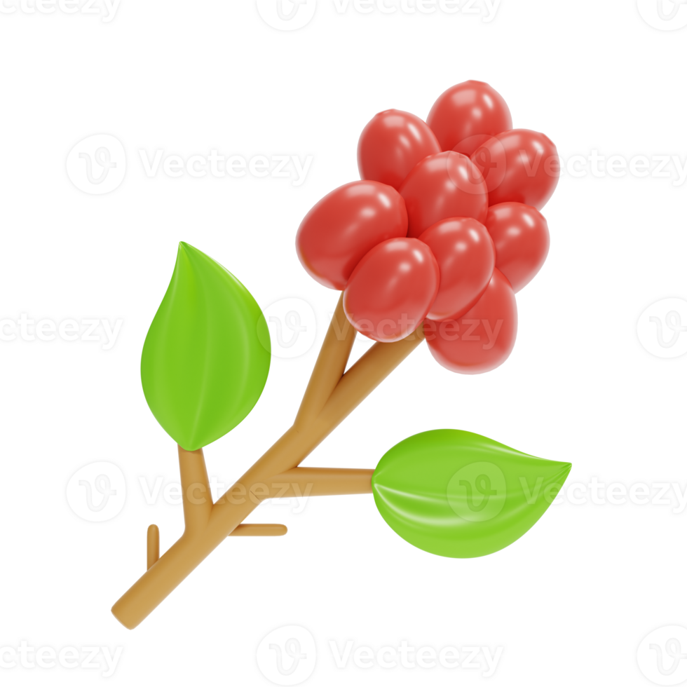 coffee fruit 3D Illustration png