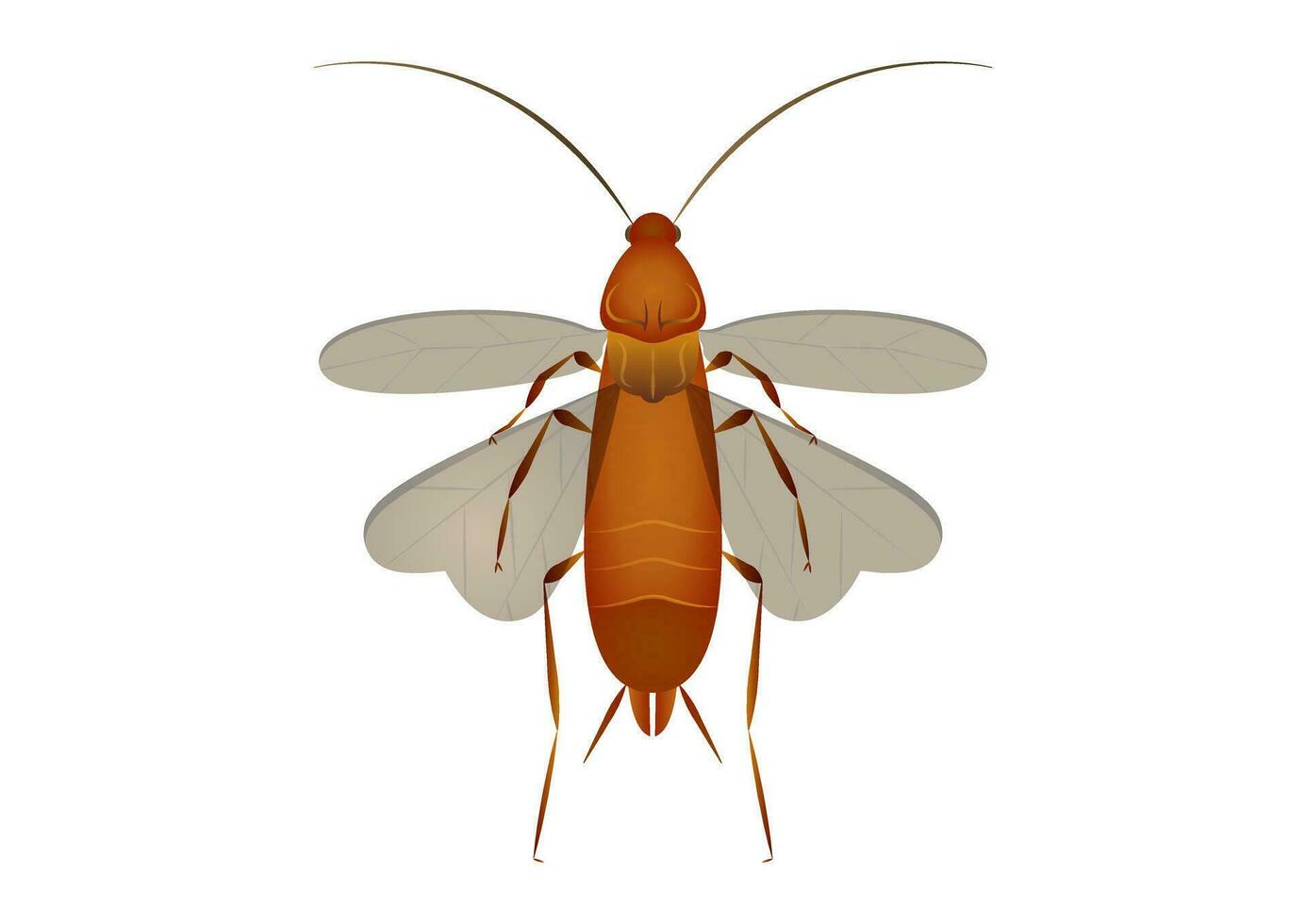 Flying Cockroach Vector Art isolated on White Background