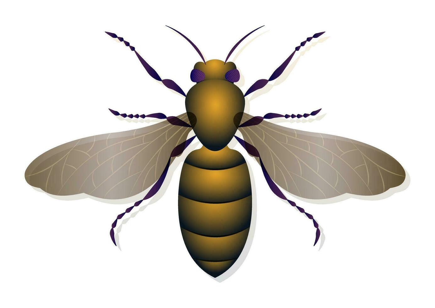 Honeybee Vector Art Isolated on White Background