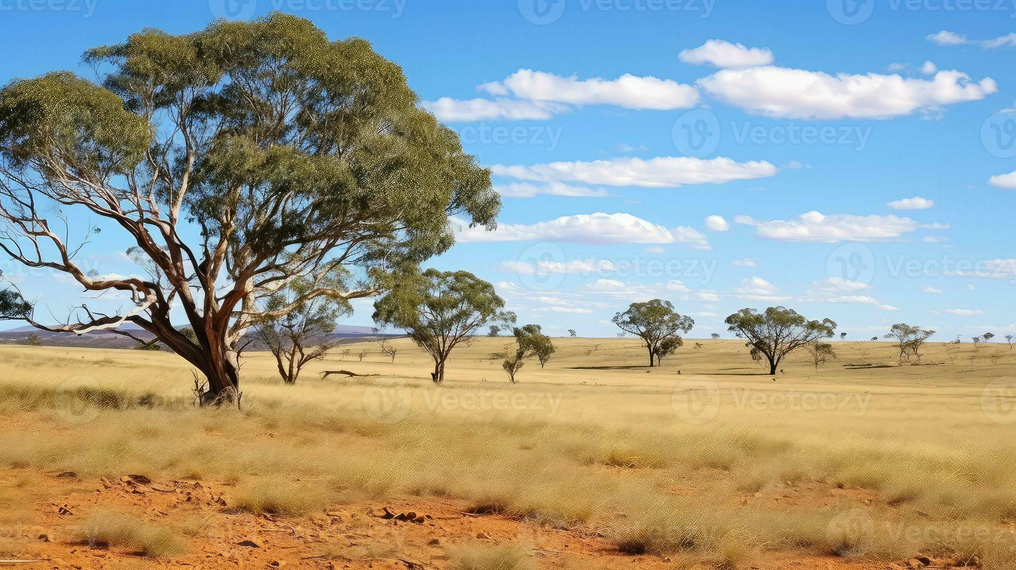 travel australian bushland arid ai generated 29109894 Stock Photo at