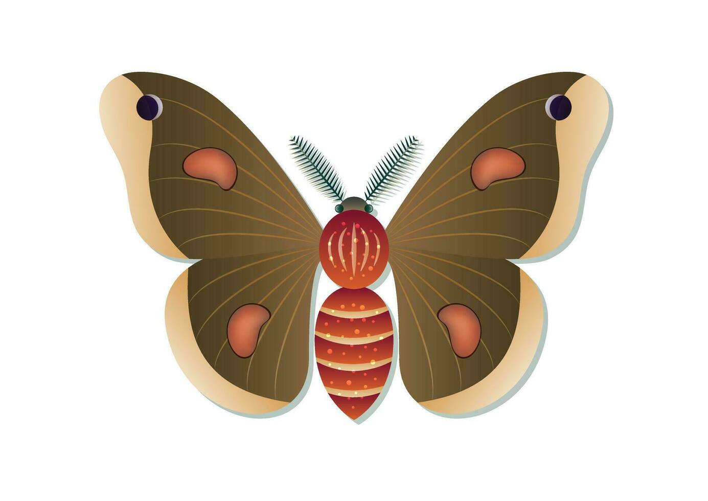 Moth Insect Vector Art isolated on White Background